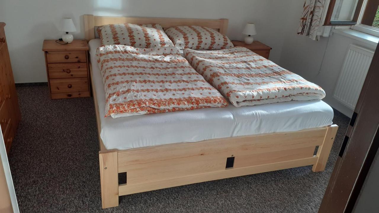Apartman Danuska Harrachov Eksteriør billede